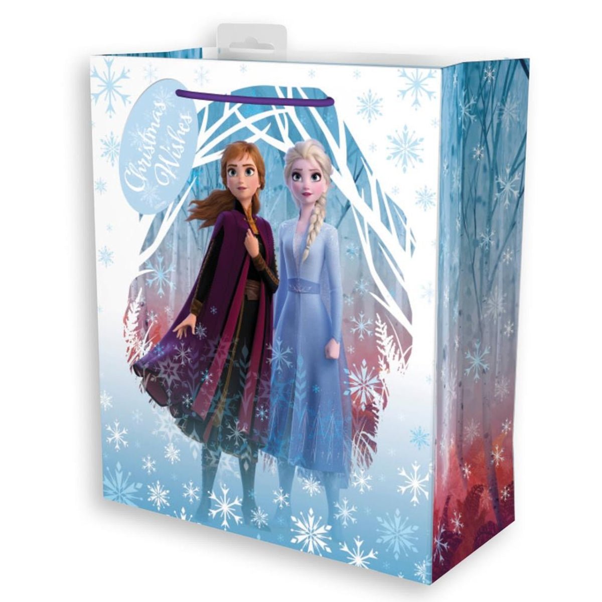 Disney Frozen Large Gift Bag - PoundToys