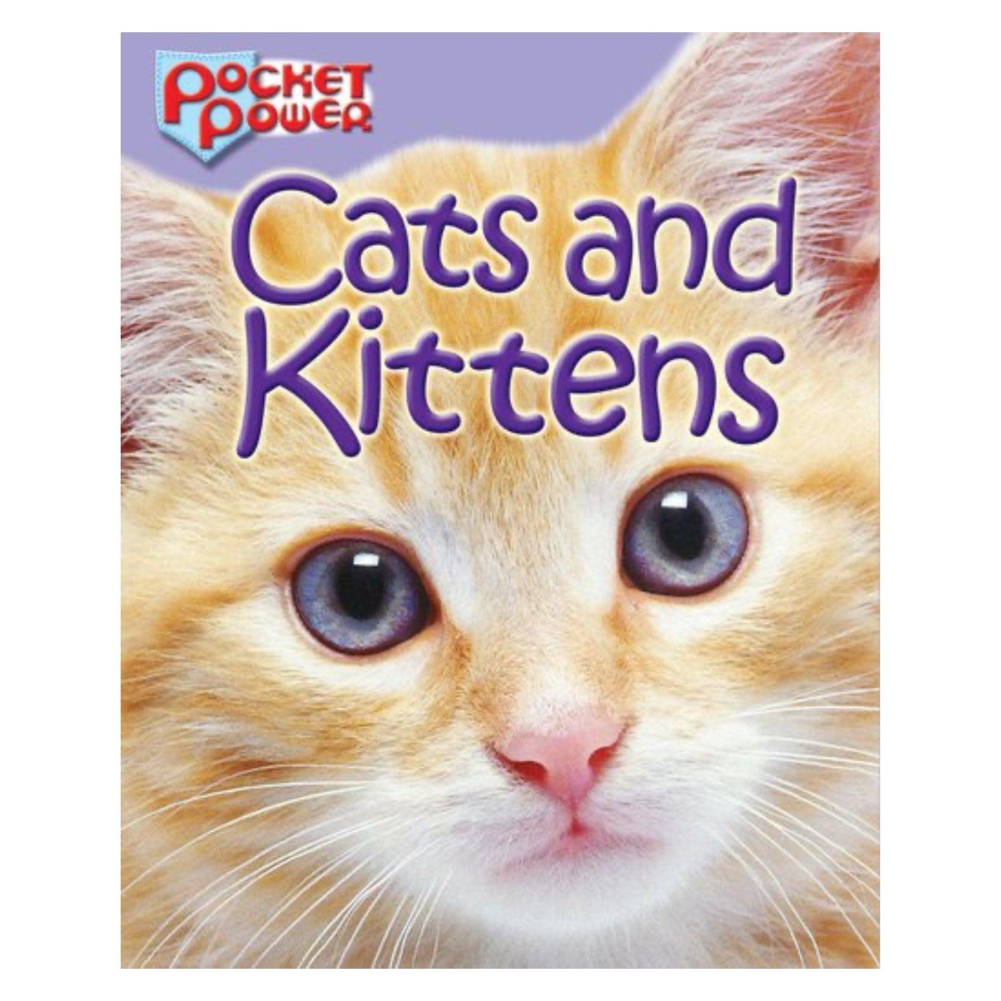 Cats and Kittens Pocket Power Book Mini Activity Kit - PoundToys