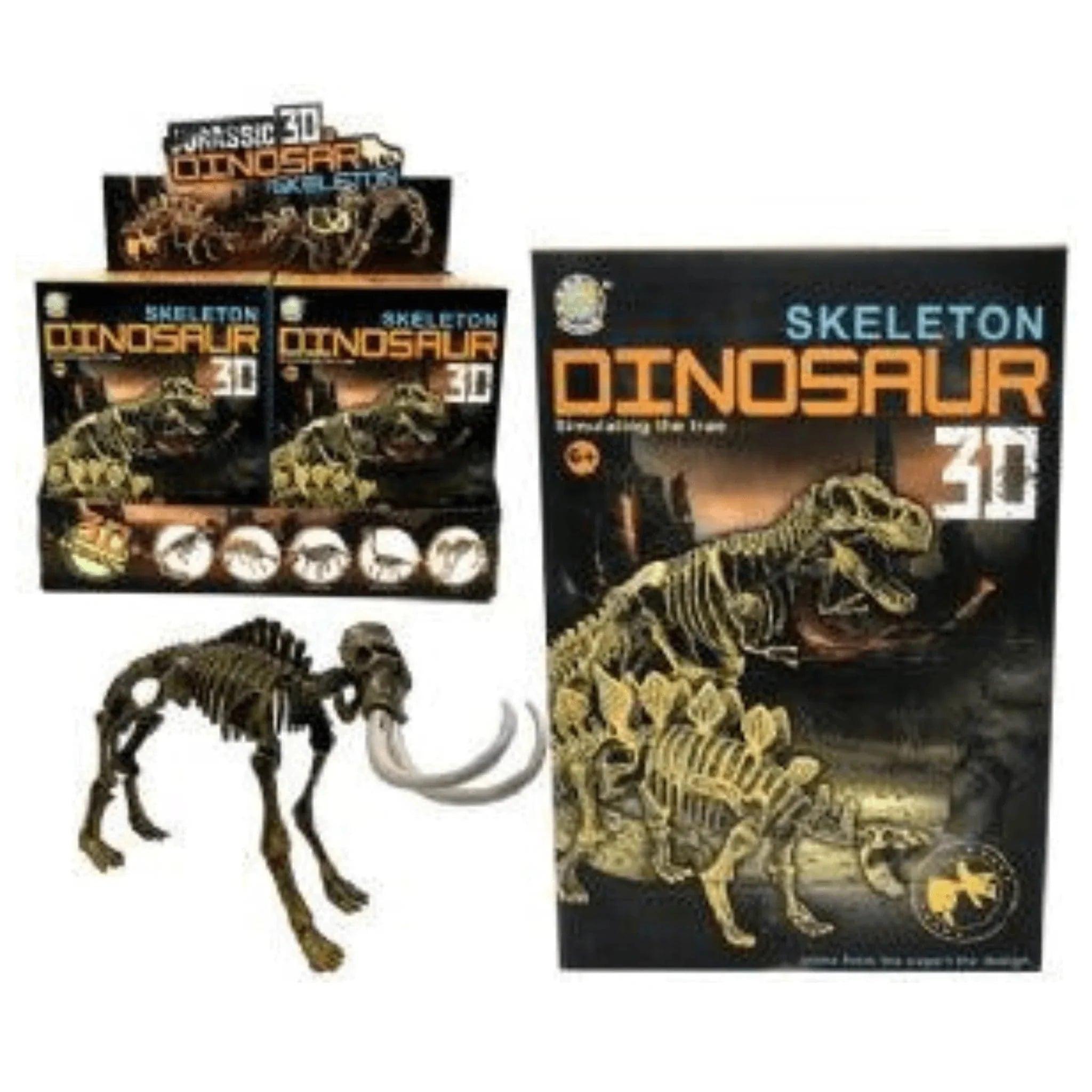 Dinosaur Skeleton Boxed 20x14cm - PoundToys