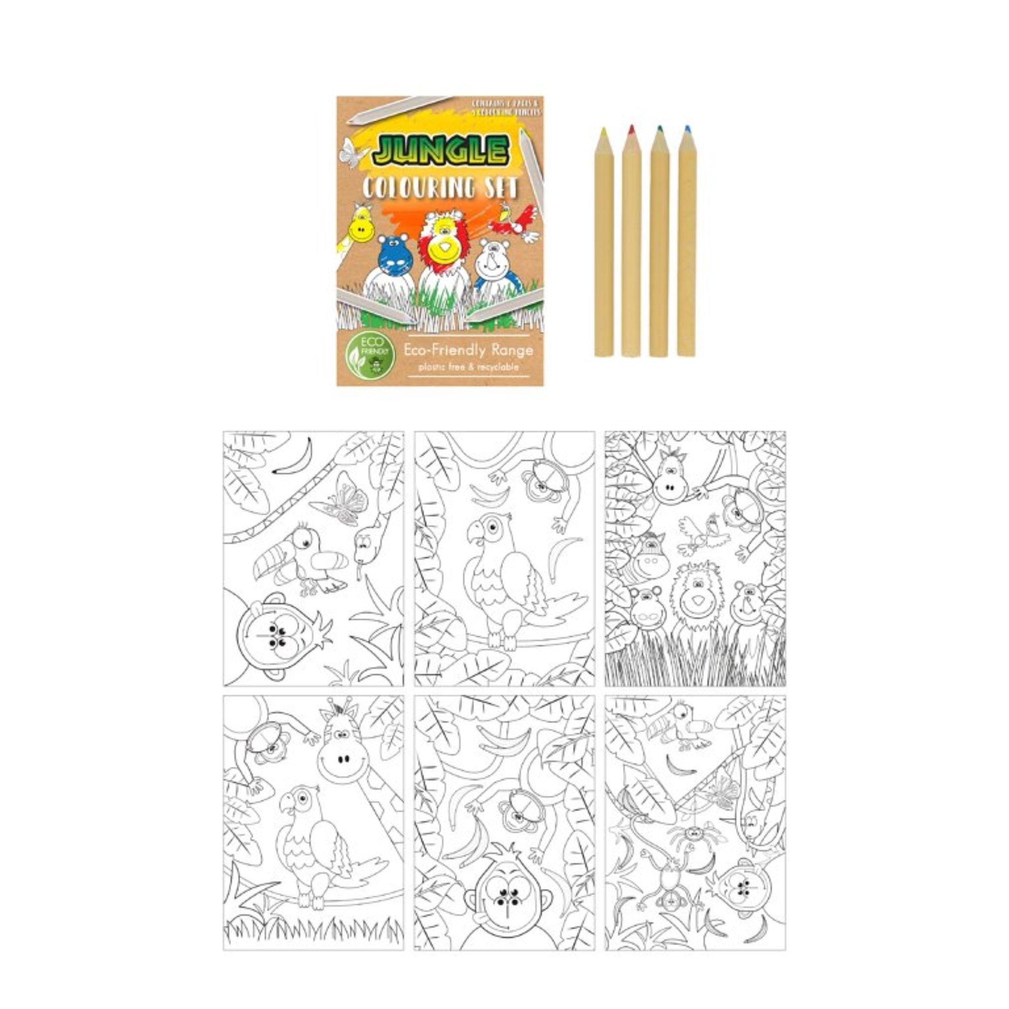 Eco Friendly Jungle Colouring Set - PoundToys