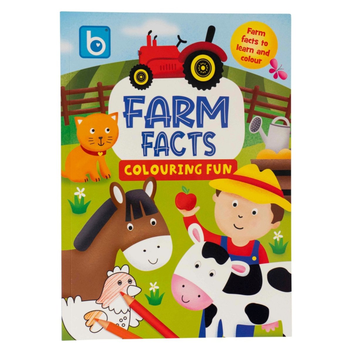 Farm Facts Colouring Fun Book - PoundToys