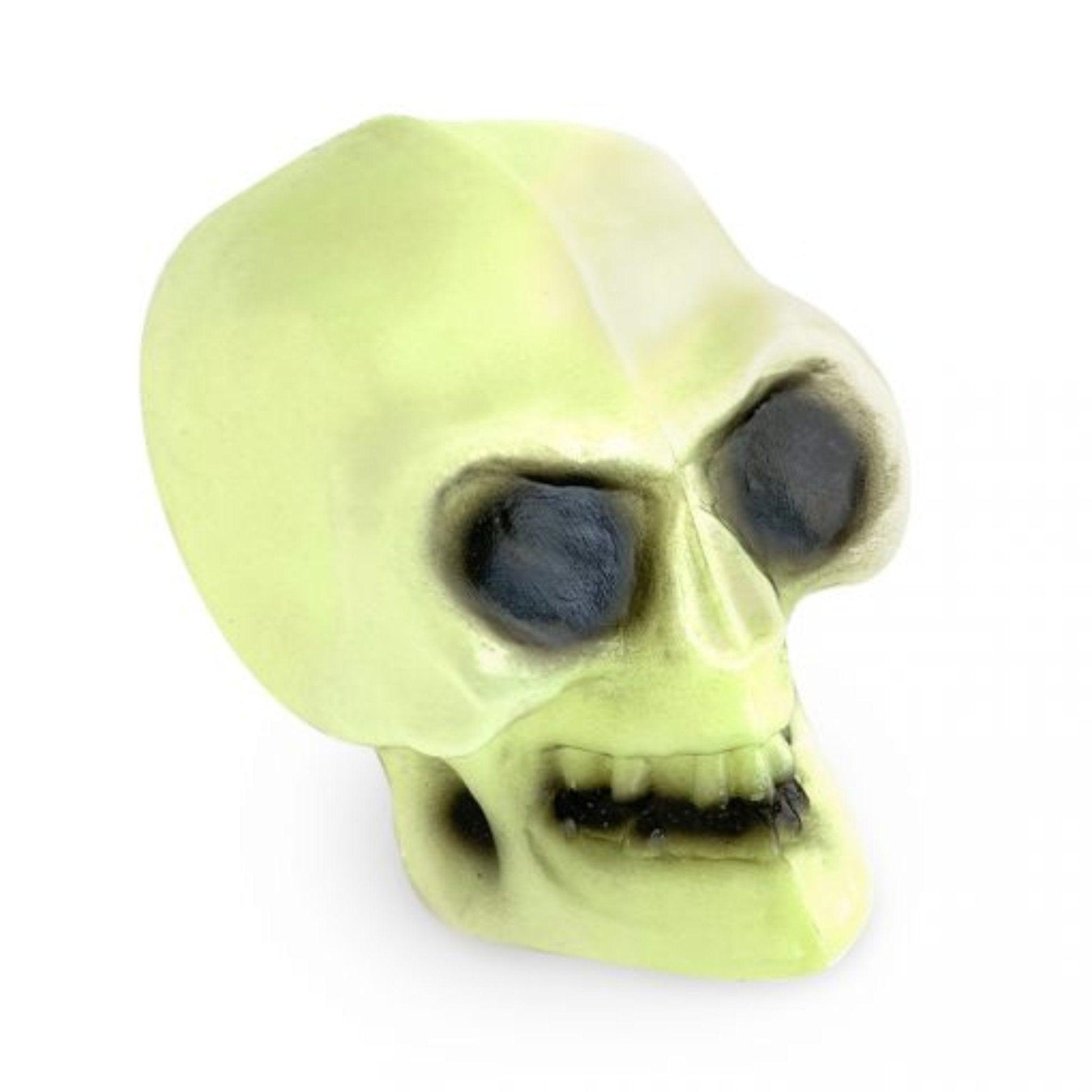 Glow In The Dark Skull - PoundToys