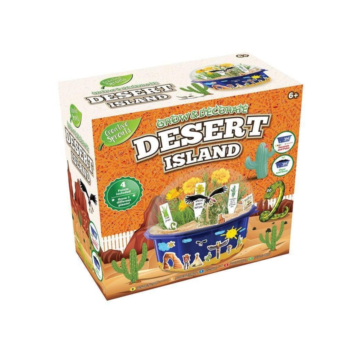 Grow and Paint Your Own Desert Island Garden - PoundToys