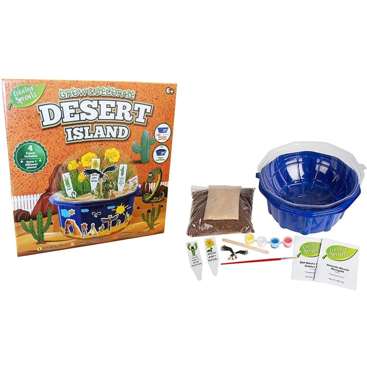 Grow and Paint Your Own Desert Island Garden - PoundToys