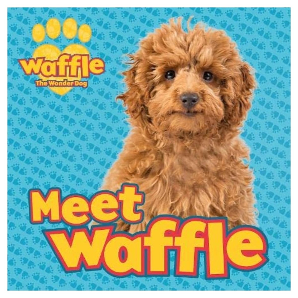 Meet Waffle Storybook - PoundToys