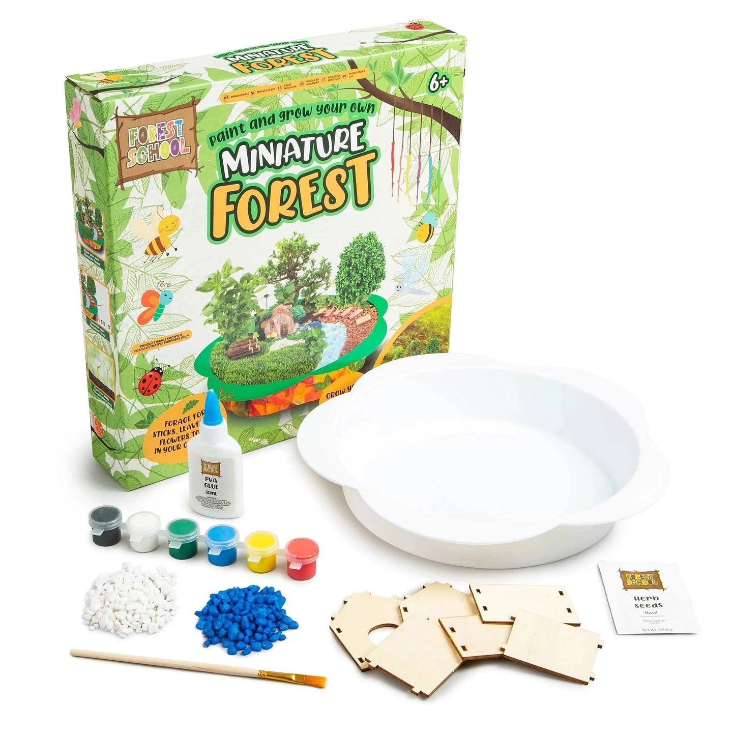 Paint and Grow Your Own Miniature Forest - PoundToys