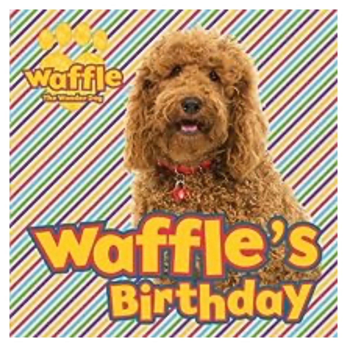 Waffle's Birthday Storybook - PoundToys